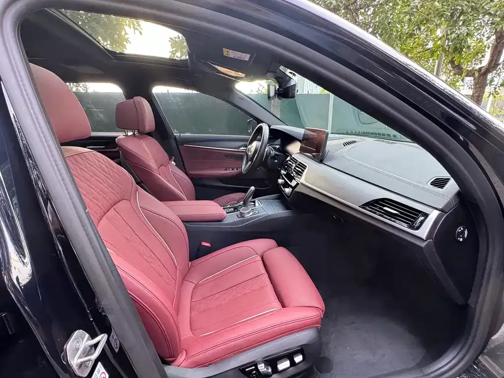 BMW 5 Series 2022 из CN, фото 10