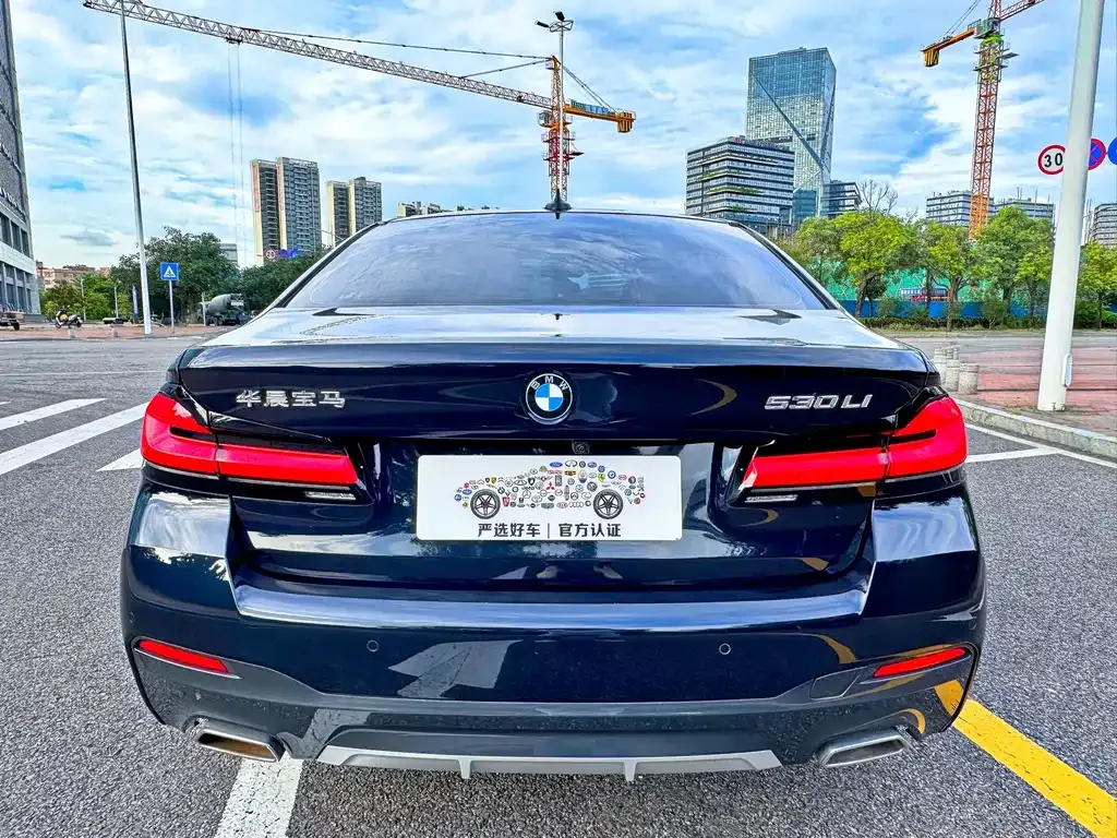 BMW 5 Series 2022 из CN, фото 5