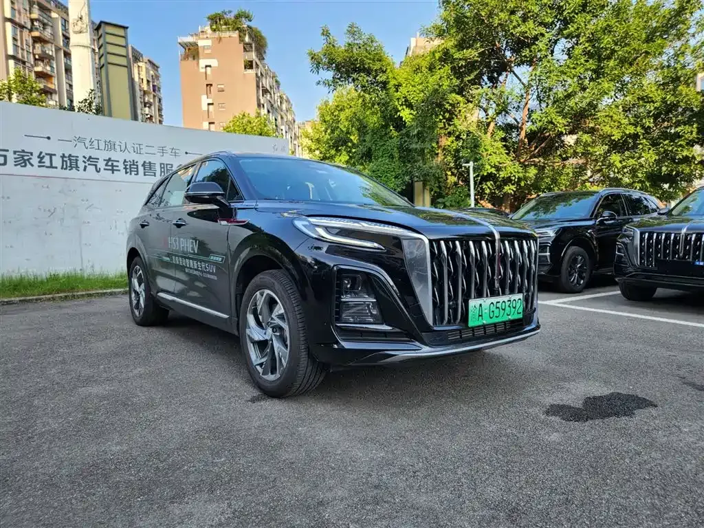Hongqi HS3 PHEV 2024 из CN, фото 10
