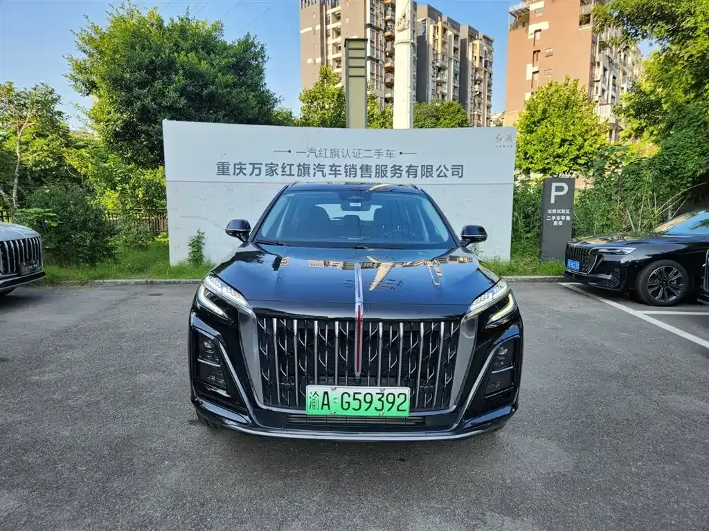 Hongqi HS3 PHEV 2024 из CN, фото 6