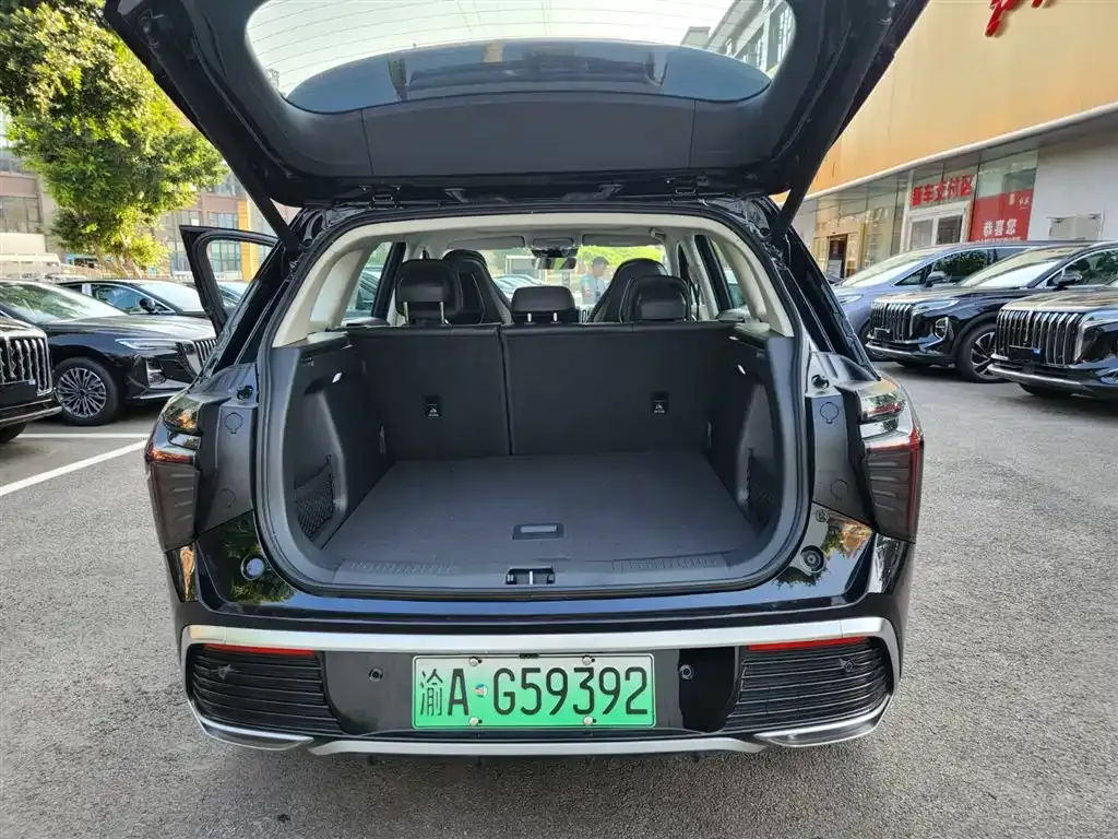 Hongqi HS3 PHEV 2024 из CN, фото 8