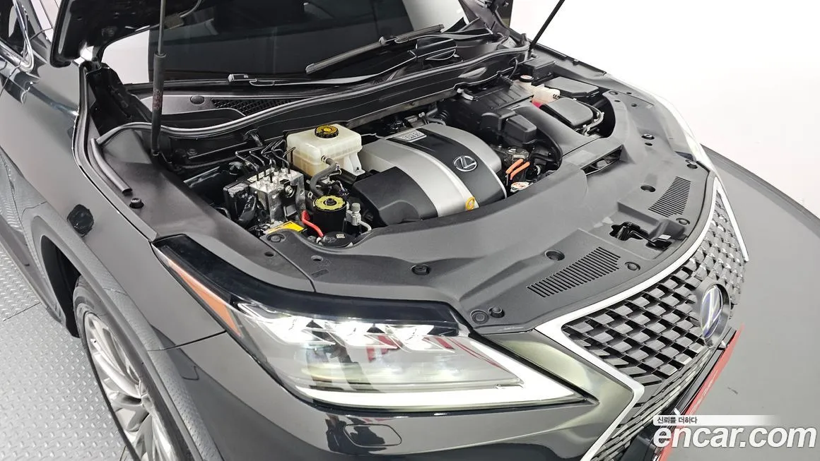 Lexus RX 2021 из KR, фото 6