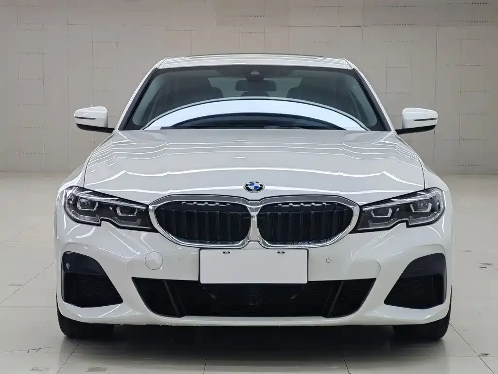 BMW 3 Series 2021 из CN, фото 3
