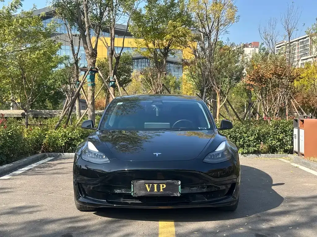 Tesla Model 3 — фото 2