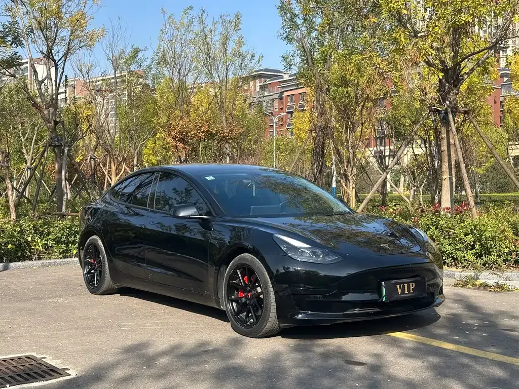 Tesla Model 3 — фото 3