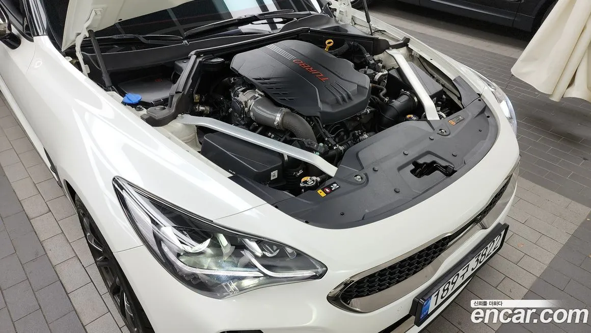 Kia Stinger 2023 из KR, фото 6