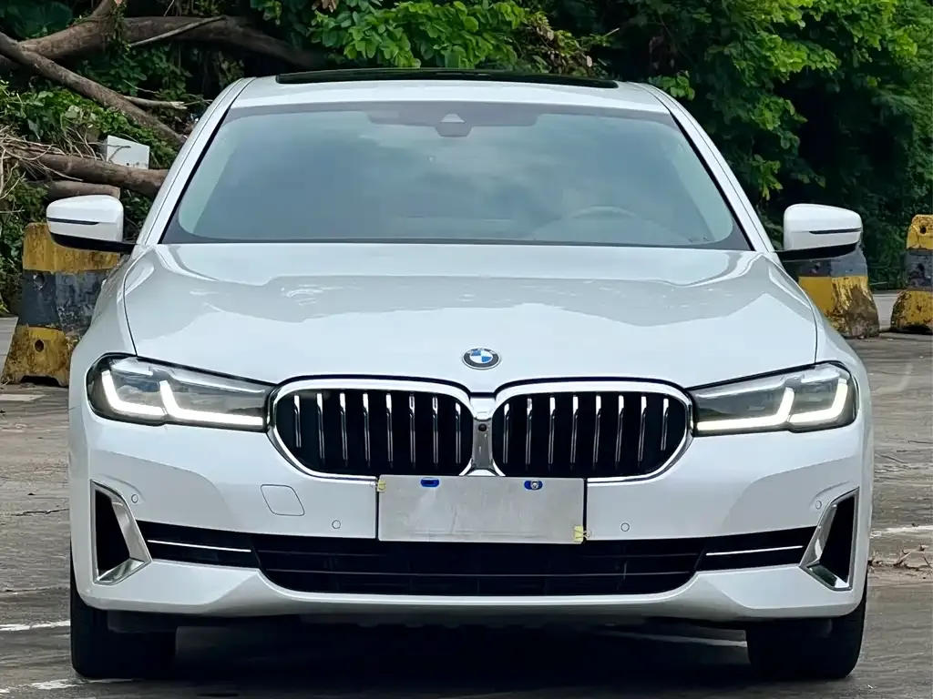 BMW 5 Series — фото 1