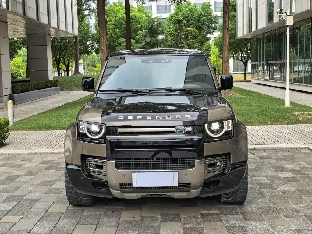 Land Rover Defender 2021 из CN, фото 2
