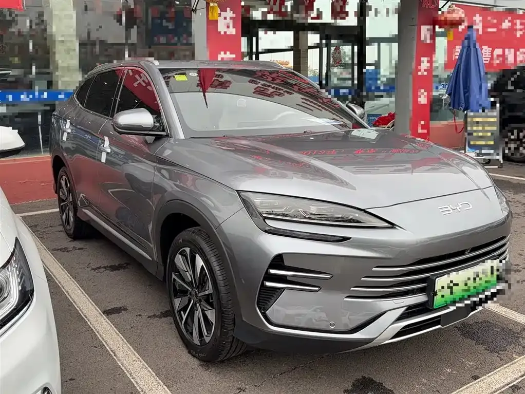 BYD PLUS New Energy 2025 из CN, фото 8
