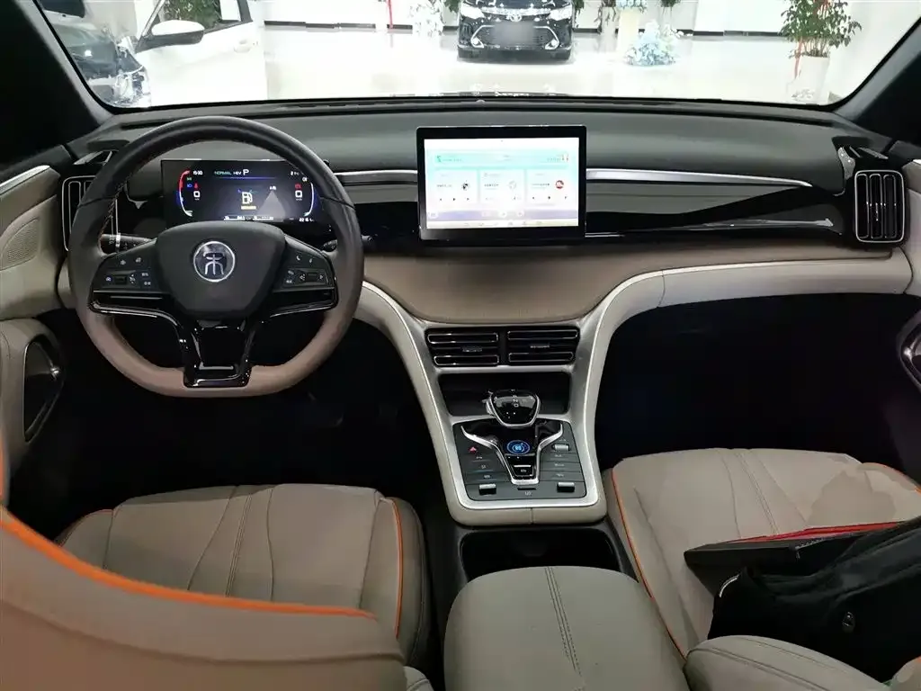 BYD Pro New Energy 2024 из CN, фото 10