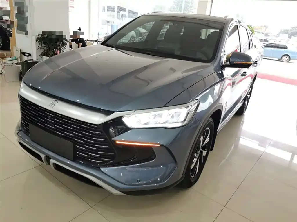 BYD Pro New Energy 2024 из CN, фото 2