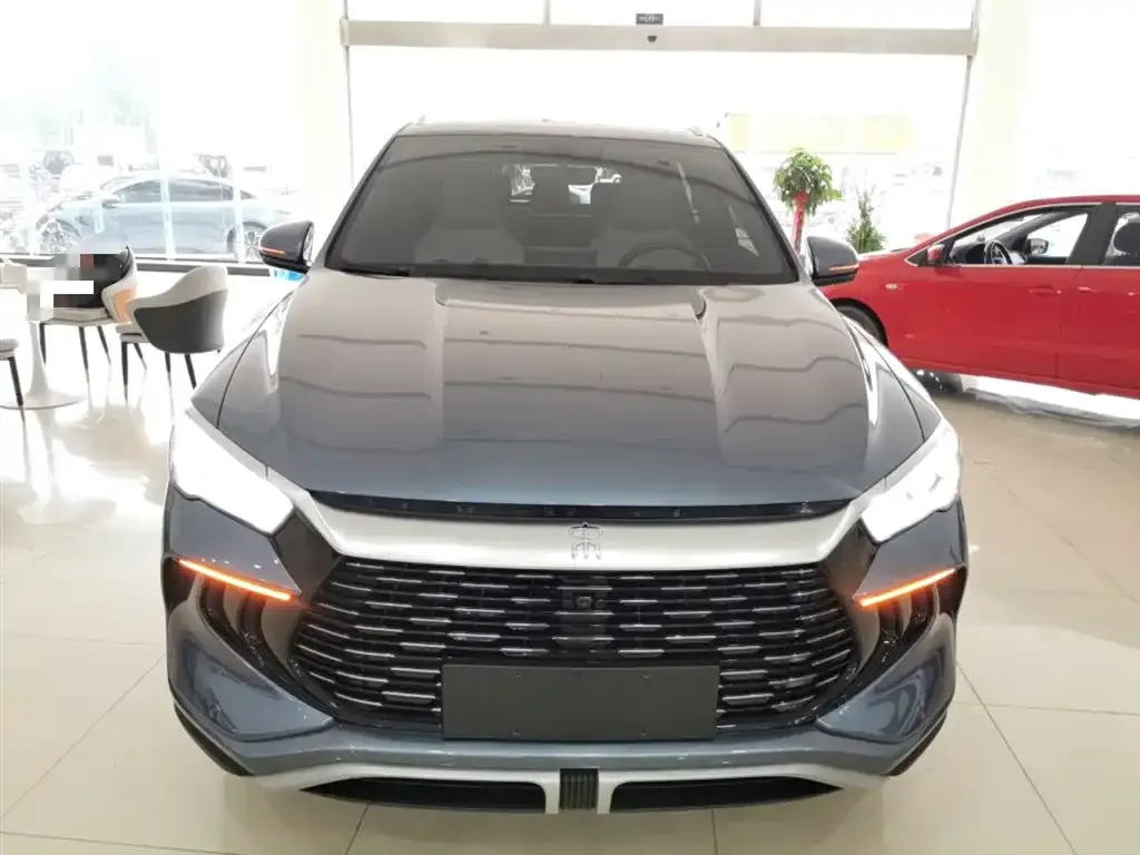 BYD Pro New Energy 2024 из CN, фото 3