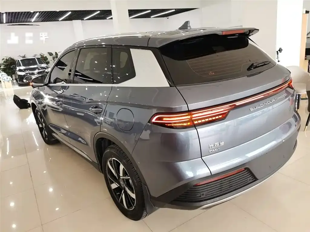 BYD Pro New Energy 2024 из CN, фото 5