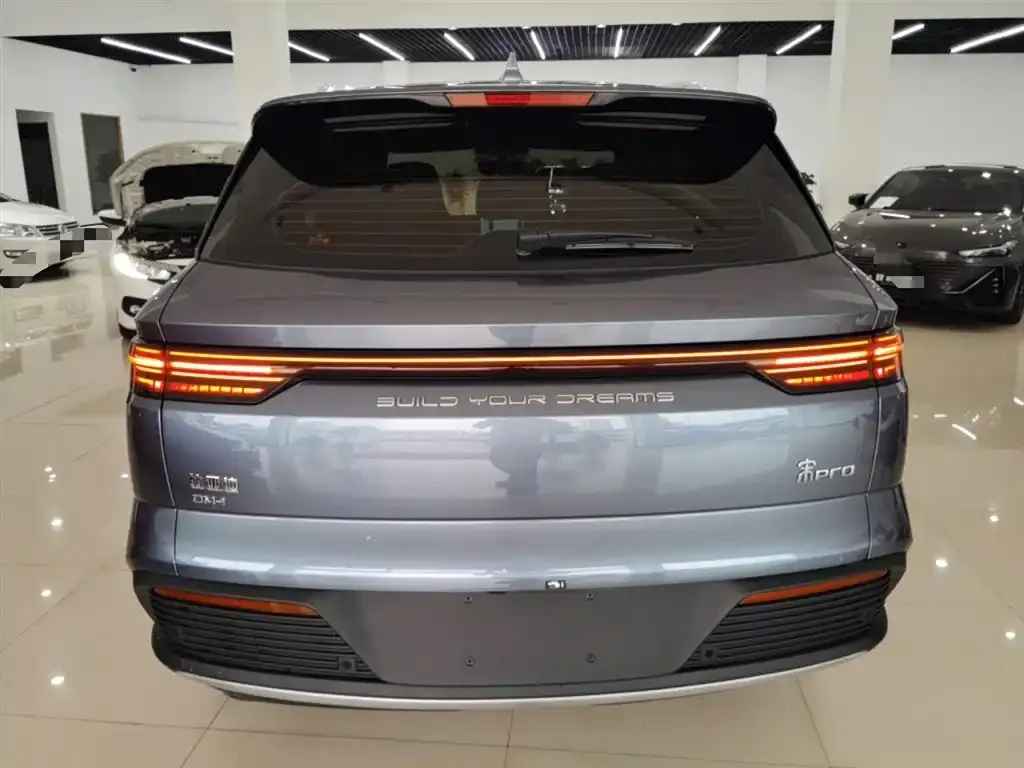 BYD Pro New Energy 2024 из CN, фото 6