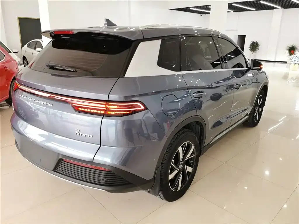 BYD Pro New Energy 2024 из CN, фото 7