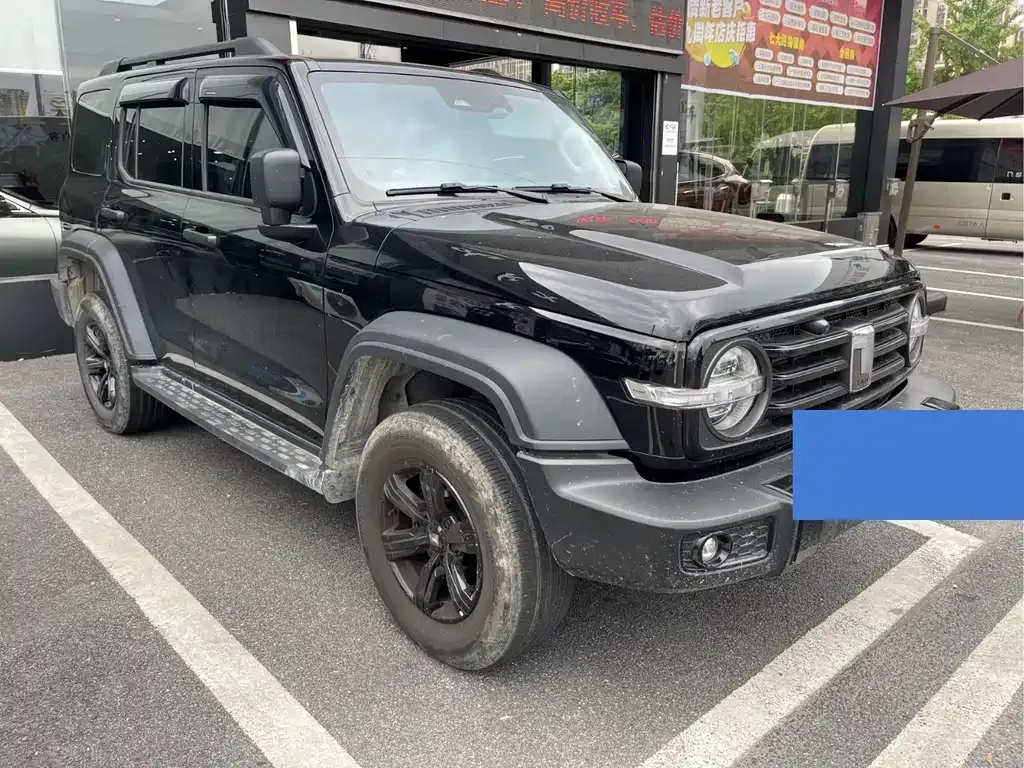 [object Object] Tank 300 2023 из CN, фото 3