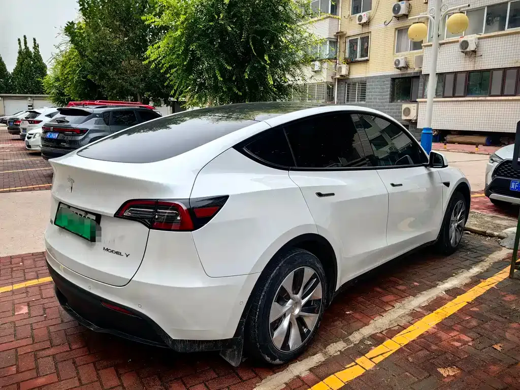Tesla Model Y — фото 3