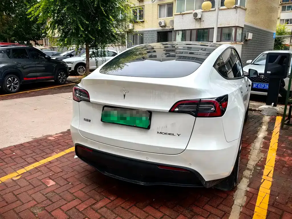 Tesla Model Y — фото 4