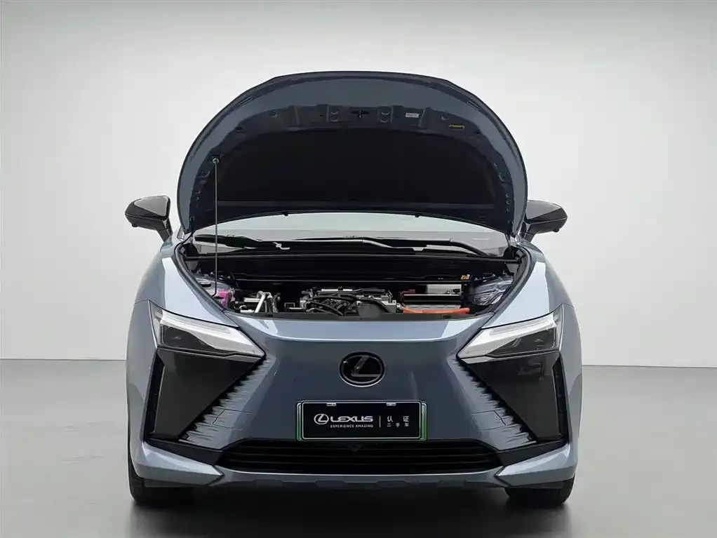 Lexus RZ — фото 3