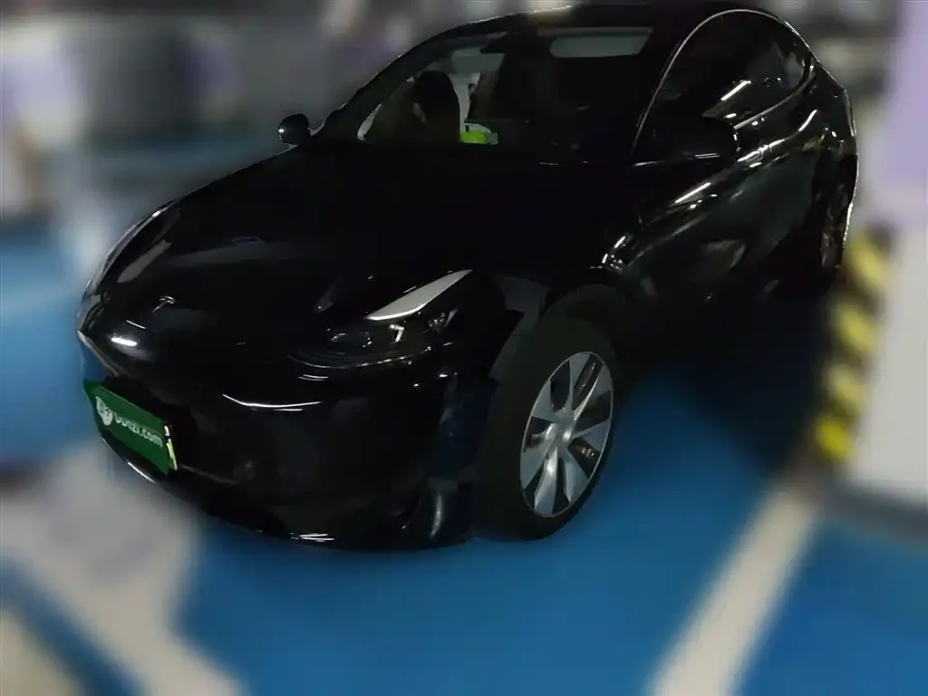 Tesla Model Y 2022 из CN, фото 1