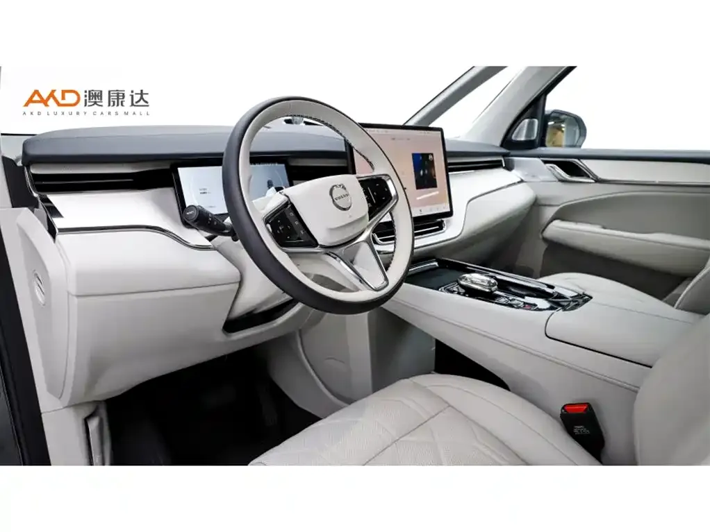 Volvo EM90 2024 из CN, фото 6