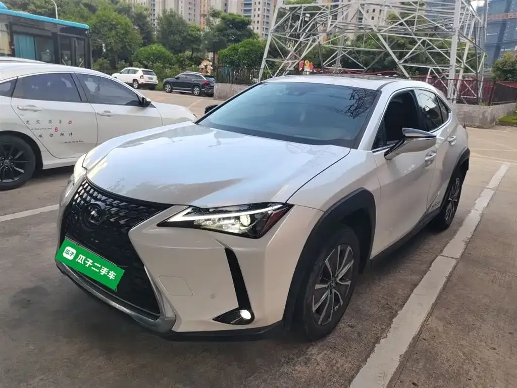 Lexus UX New Energy 2021 из CN, фото 1