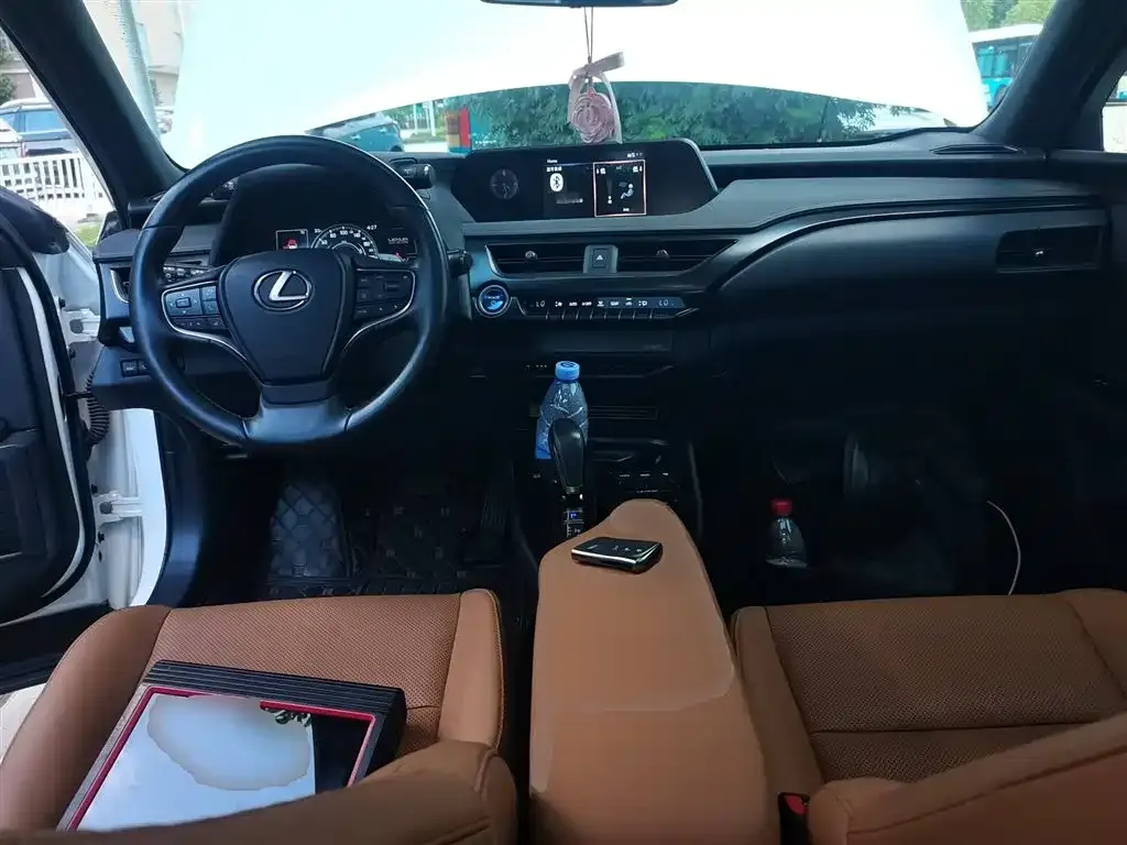 Lexus UX New Energy 2021 из CN, фото 10