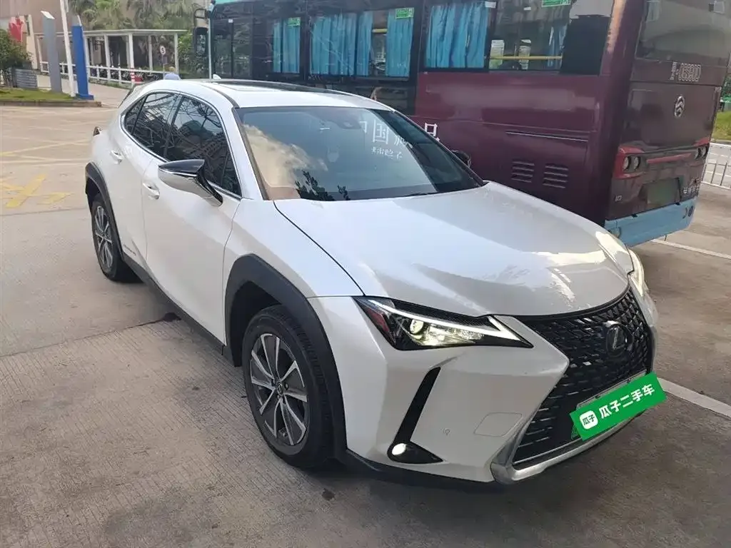 Lexus UX New Energy 2021 из CN, фото 4