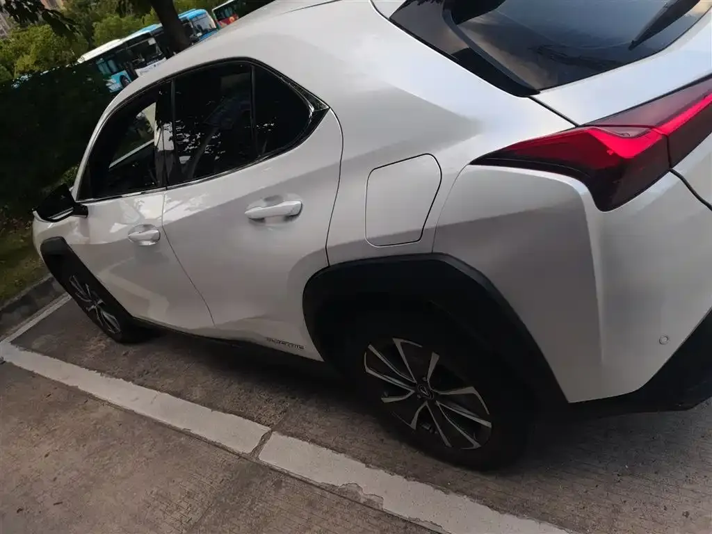 Lexus UX New Energy 2021 из CN, фото 5