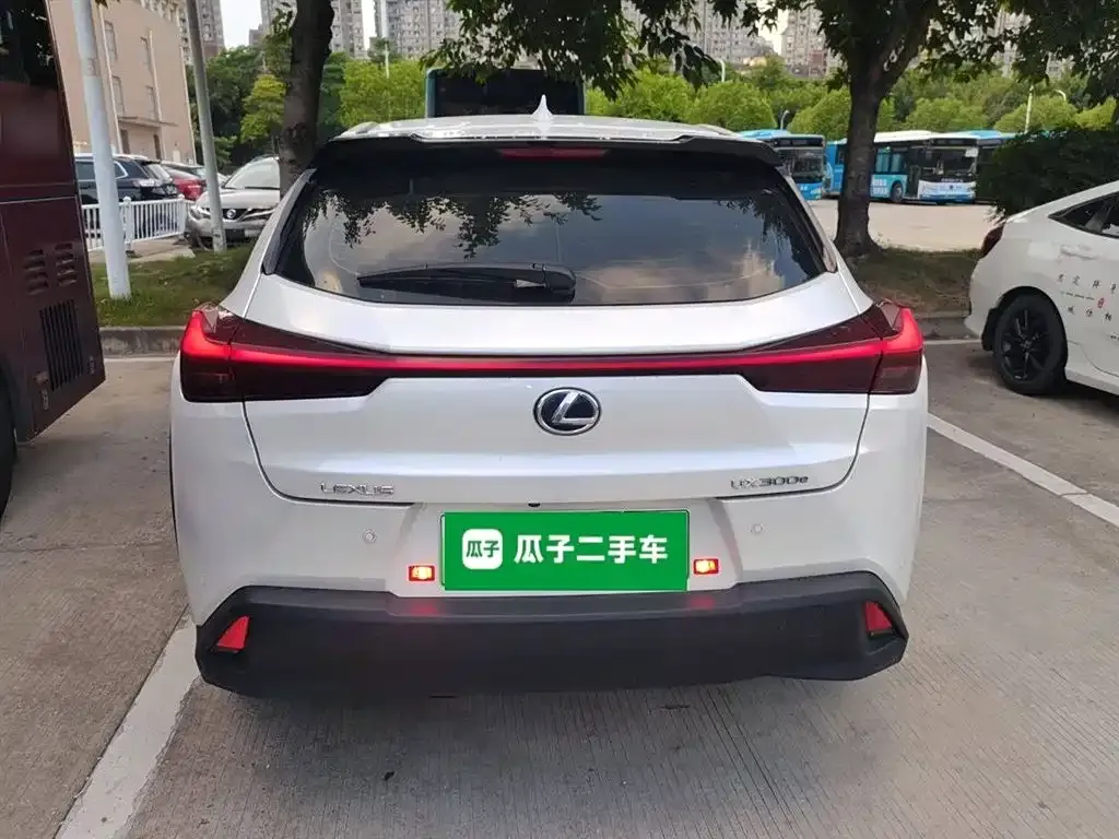 Lexus UX New Energy 2021 из CN, фото 6