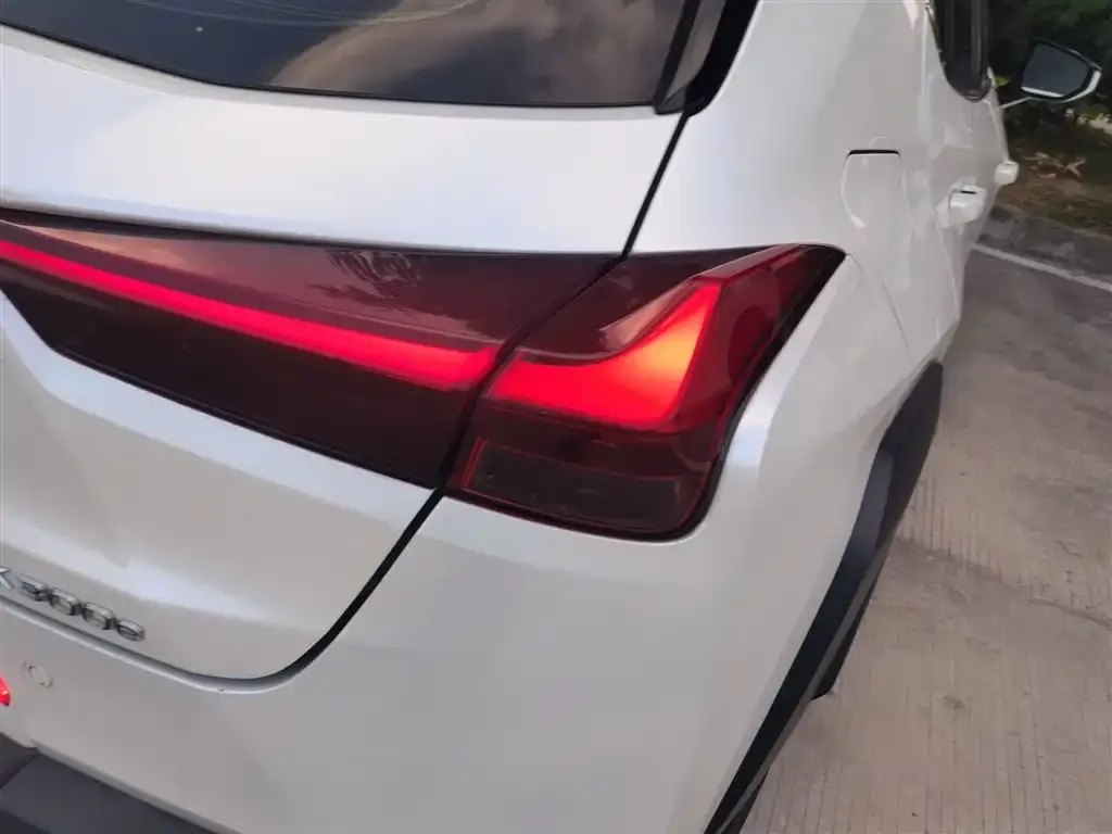 Lexus UX New Energy 2021 из CN, фото 8