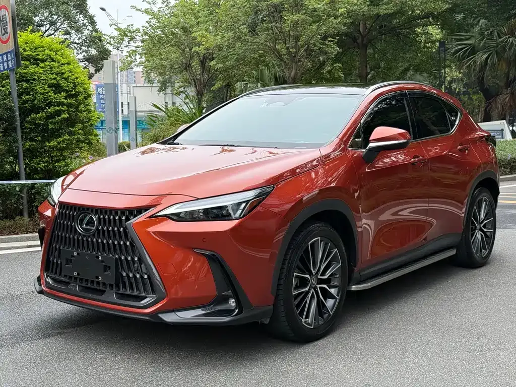 Lexus NX 2022 из CN, фото 1