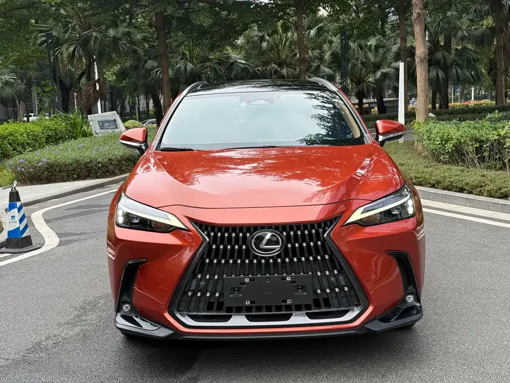 Lexus NX 2022 из CN, фото 2
