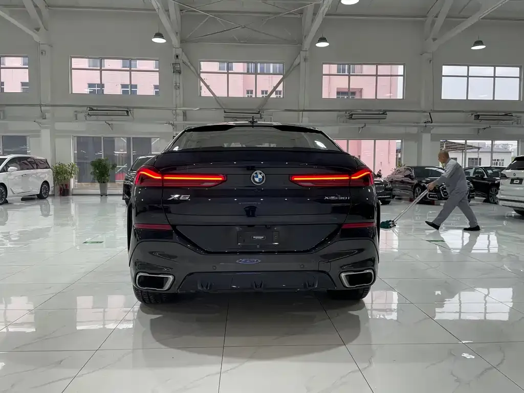 BMW X6 2021 из CN, фото 5