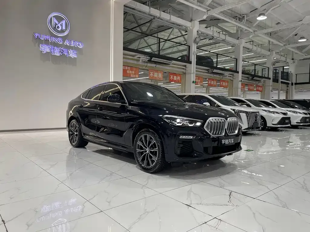 BMW X6 2021 из CN, фото 7