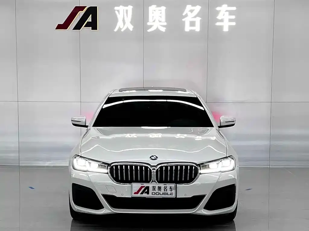 BMW 5 Series 2021 из CN, фото 1