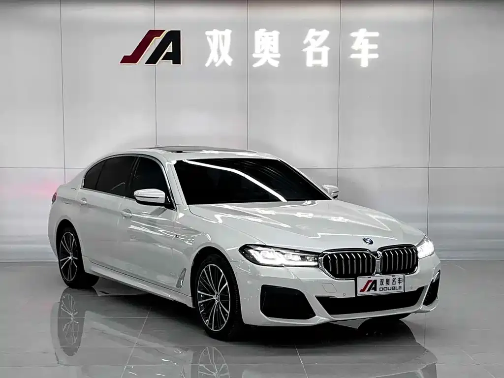 BMW 5 Series 2021 из CN, фото 2