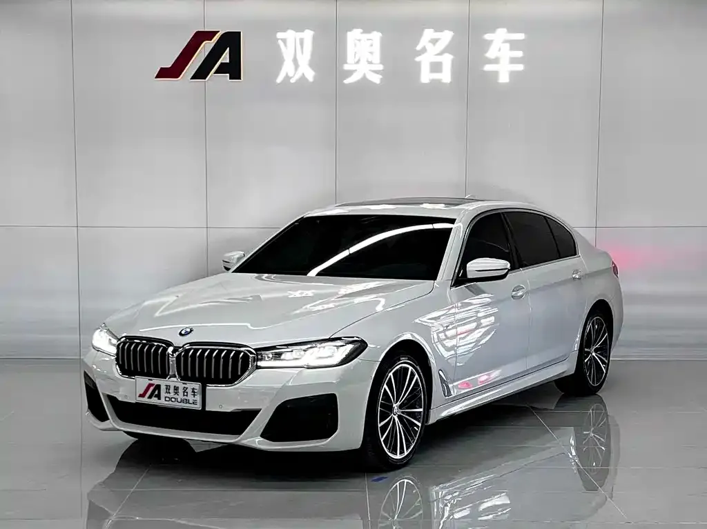 BMW 5 Series 2021 из CN, фото 3