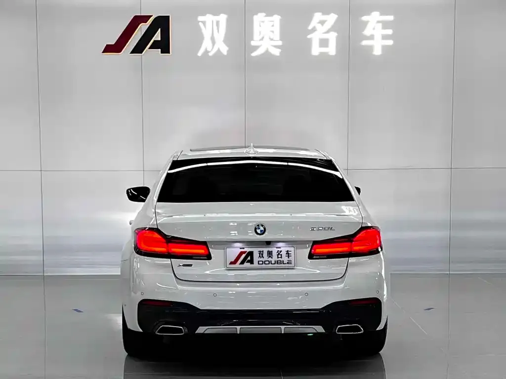 BMW 5 Series 2021 из CN, фото 5