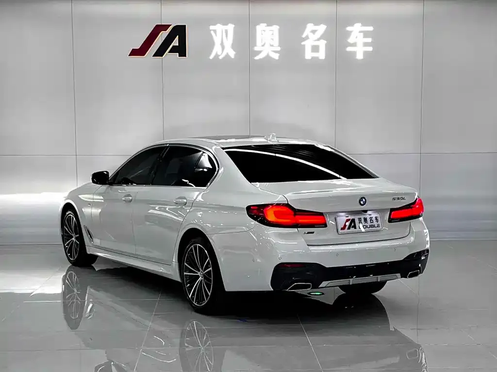 BMW 5 Series 2021 из CN, фото 7