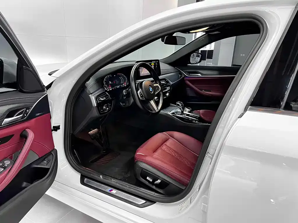 BMW 5 Series 2021 из CN, фото 8
