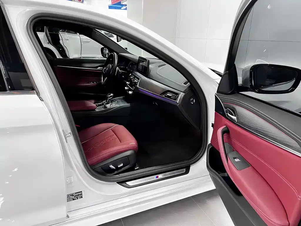 BMW 5 Series 2021 из CN, фото 9