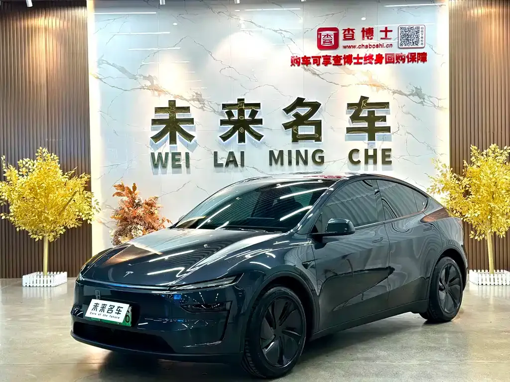 Tesla Model Y 2025 из CN, фото 1