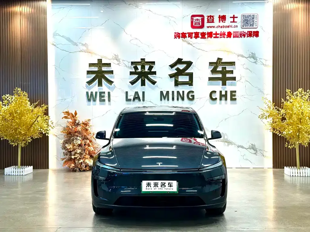 Tesla Model Y 2025 из CN, фото 2