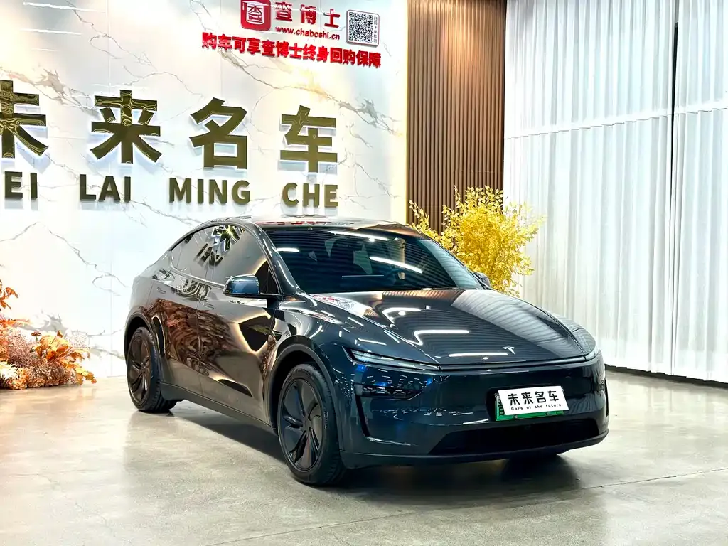 Tesla Model Y 2025 из CN, фото 3