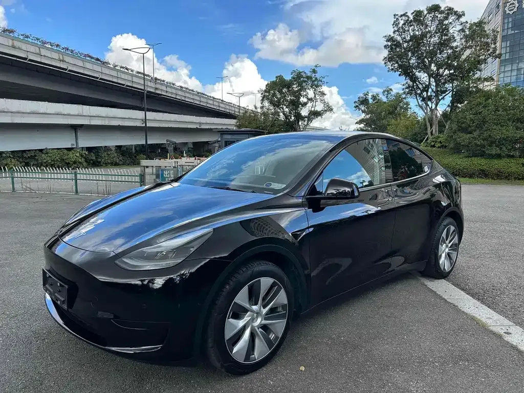 Tesla Model Y — фото 1
