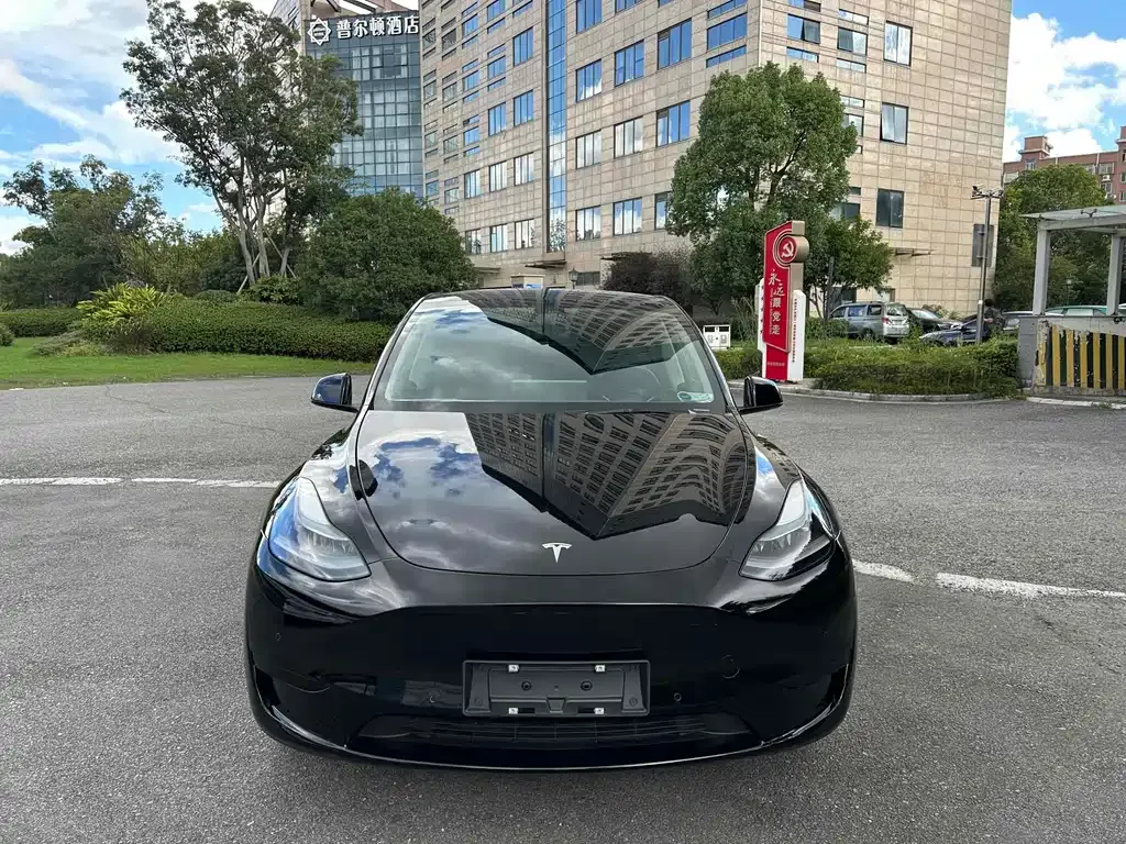 Tesla Model Y — фото 2