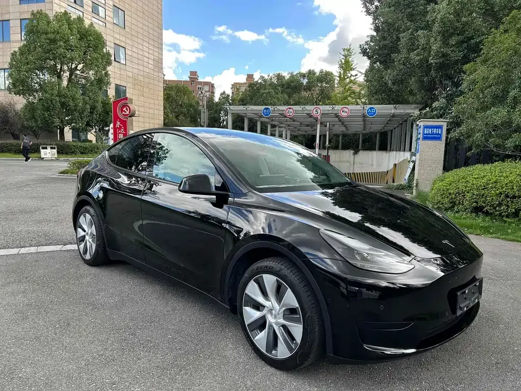 Tesla Model Y — фото 3