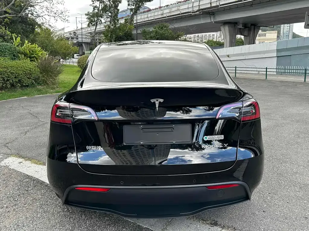 Tesla Model Y — фото 8