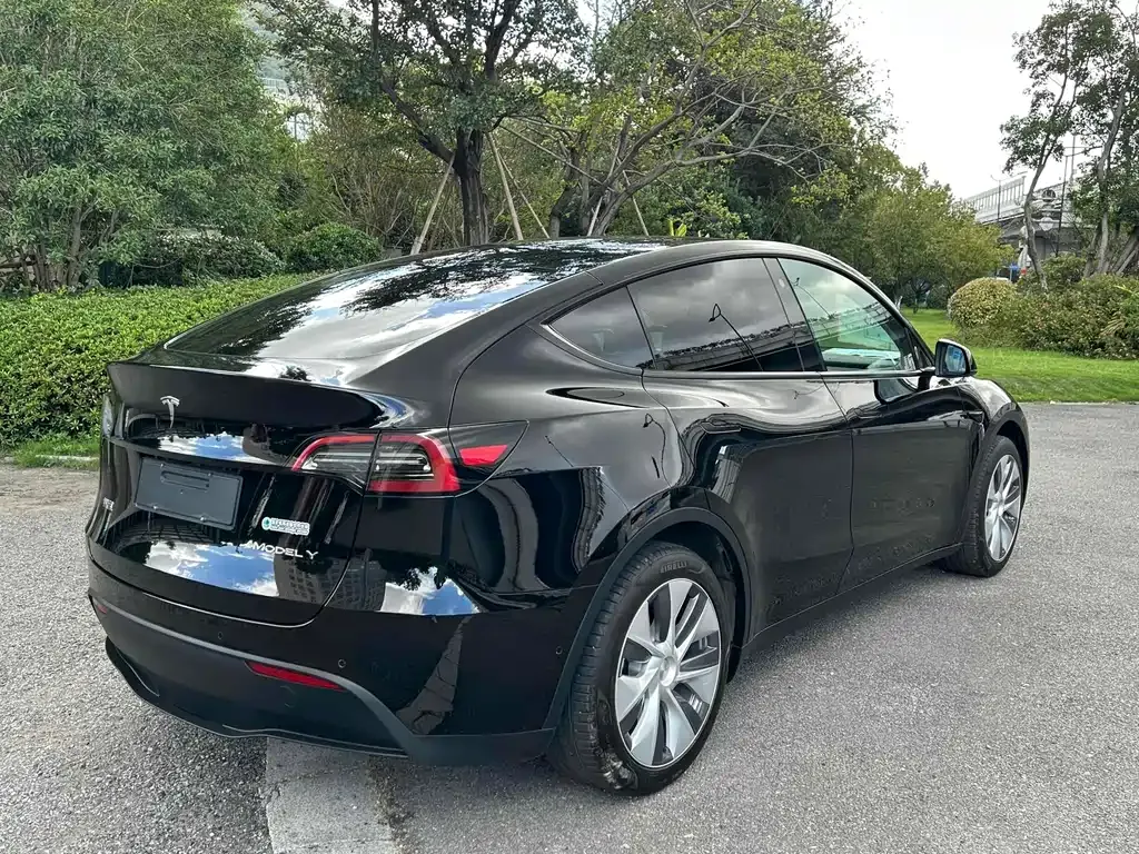 Tesla Model Y — фото 9